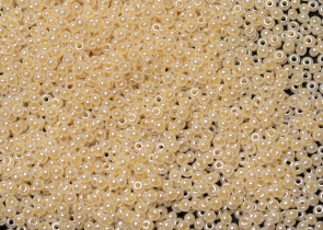 Бисер Чехия круглый 10/0 500 г 47112